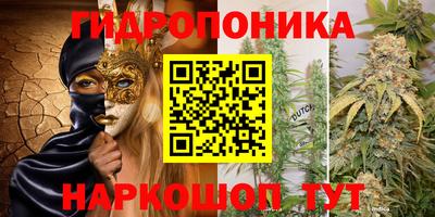 скорость Шелехов
