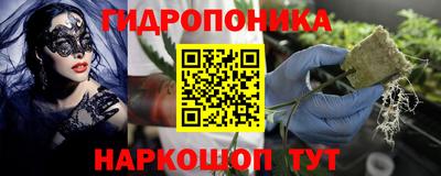 амф Кунгур